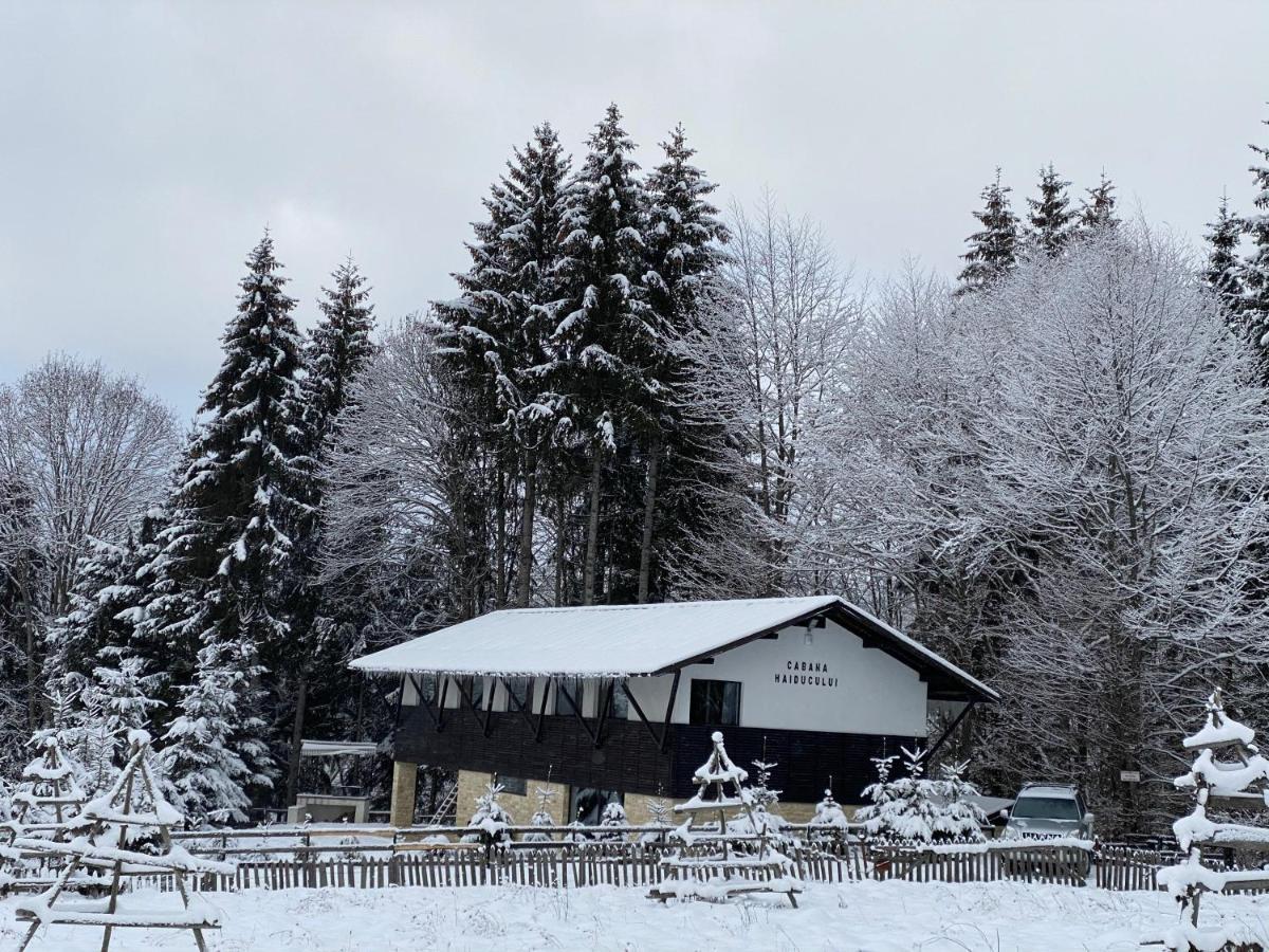 Cabana Haiducului Teşila Екстериор снимка